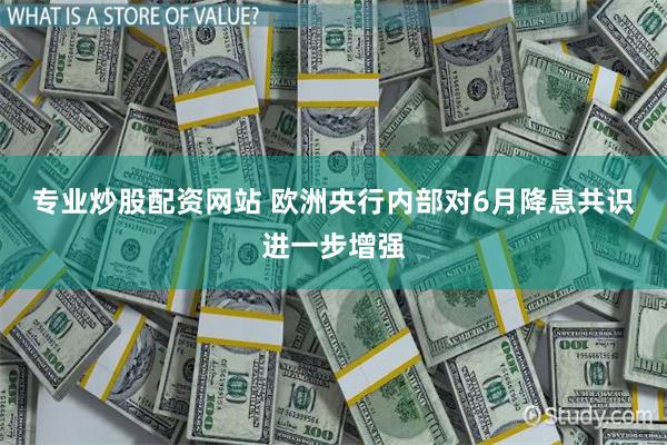 专业炒股配资网站 欧洲央行内部对6月降息共识进一步增强