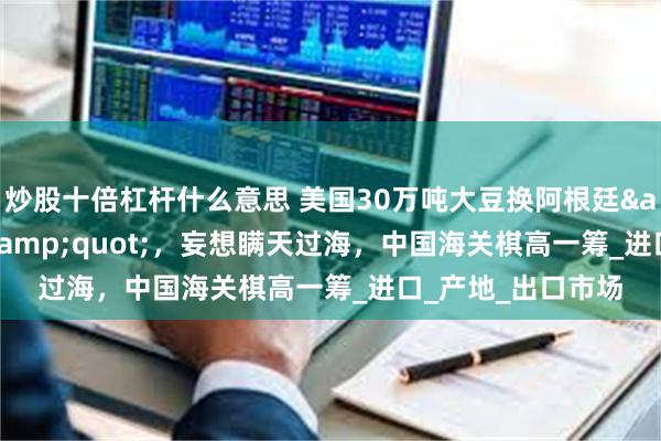 炒股十倍杠杆什么意思 美国30万吨大豆换阿根廷&quot;马甲&quot;，妄想瞒天过海，中国海关棋高一筹_进口_产地_出口市场