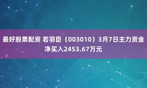 最好股票配资 若羽臣（003010）3月7日主力资金净买入2453.67万元