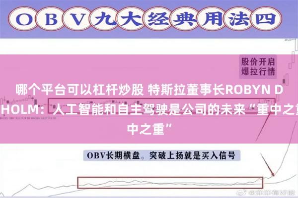 哪个平台可以杠杆炒股 特斯拉董事长ROBYN DENHOLM:人工智能和自主驾驶是公司的未来“重中之重”