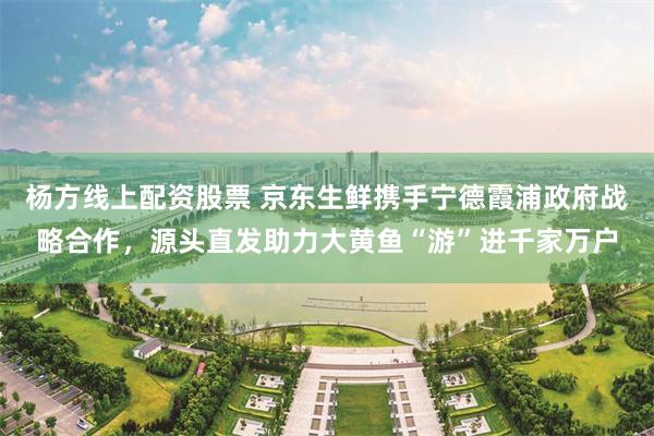 杨方线上配资股票 京东生鲜携手宁德霞浦政府战略合作,源头直发助力大黄鱼“游”进千家万户